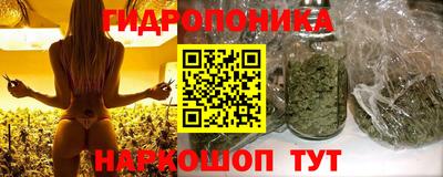 герыч Лесосибирск
