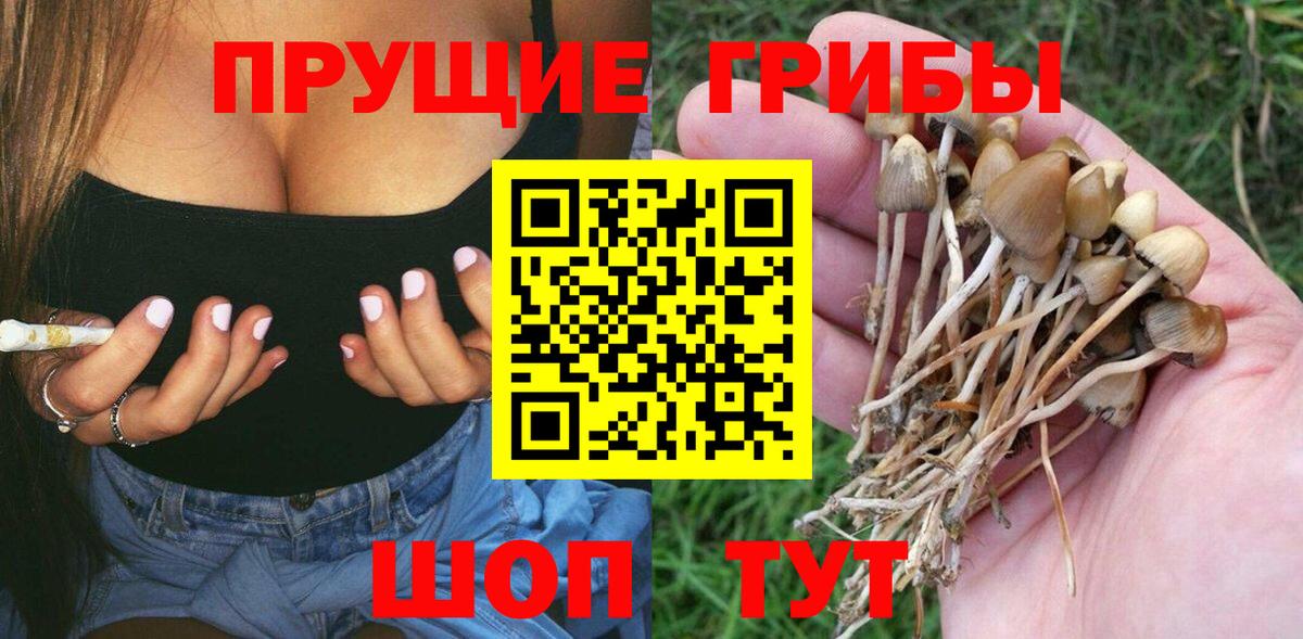 Галлюциногенные грибы ЛСД  Вход с VPN  Рославль 
