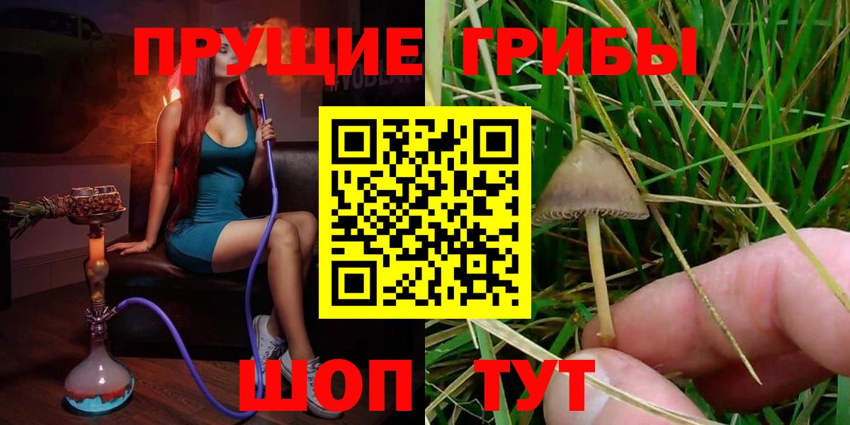 Псилоцибиновые грибы Cubensis Рославль